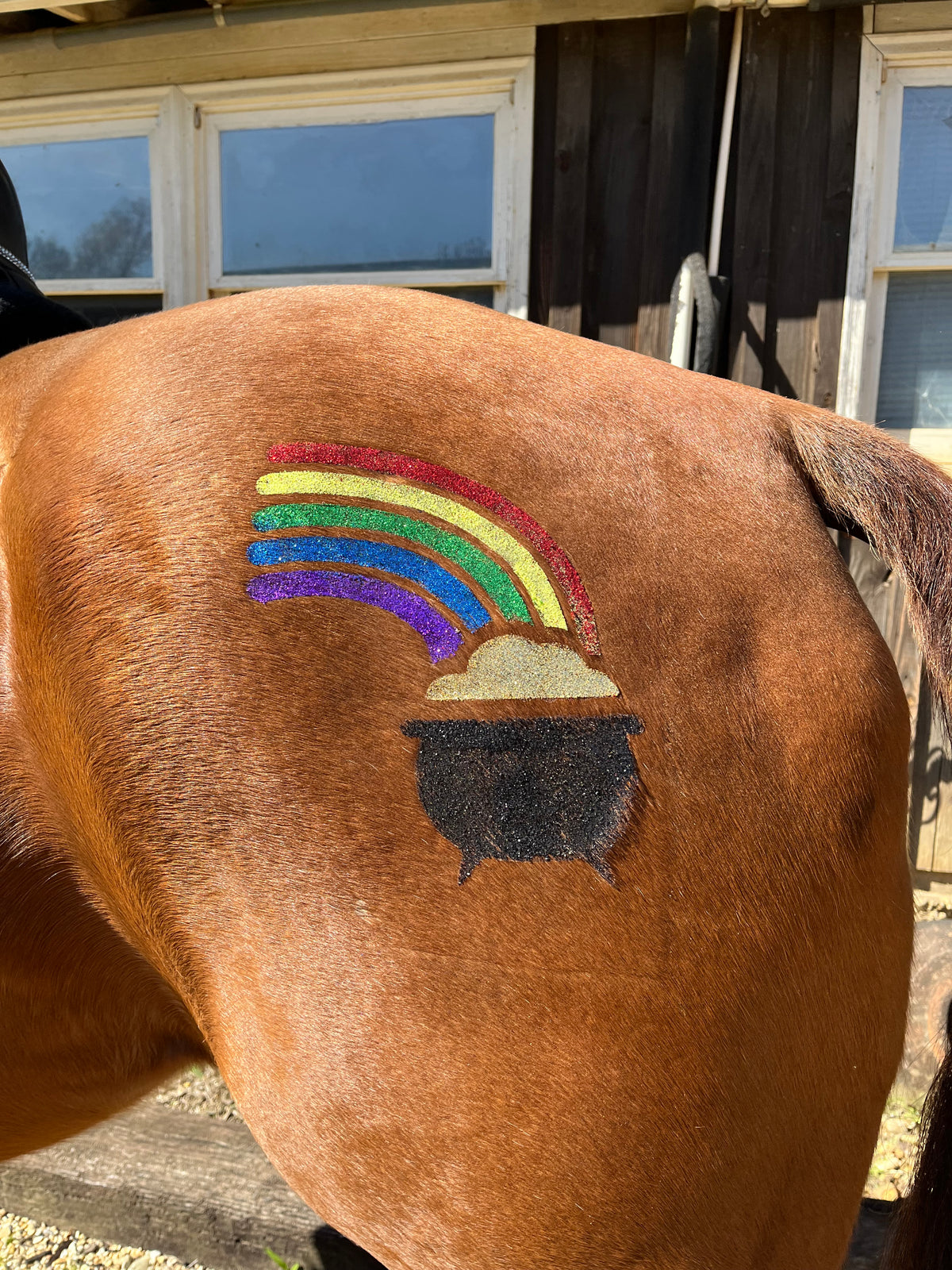 Rainbow Pot of Gold