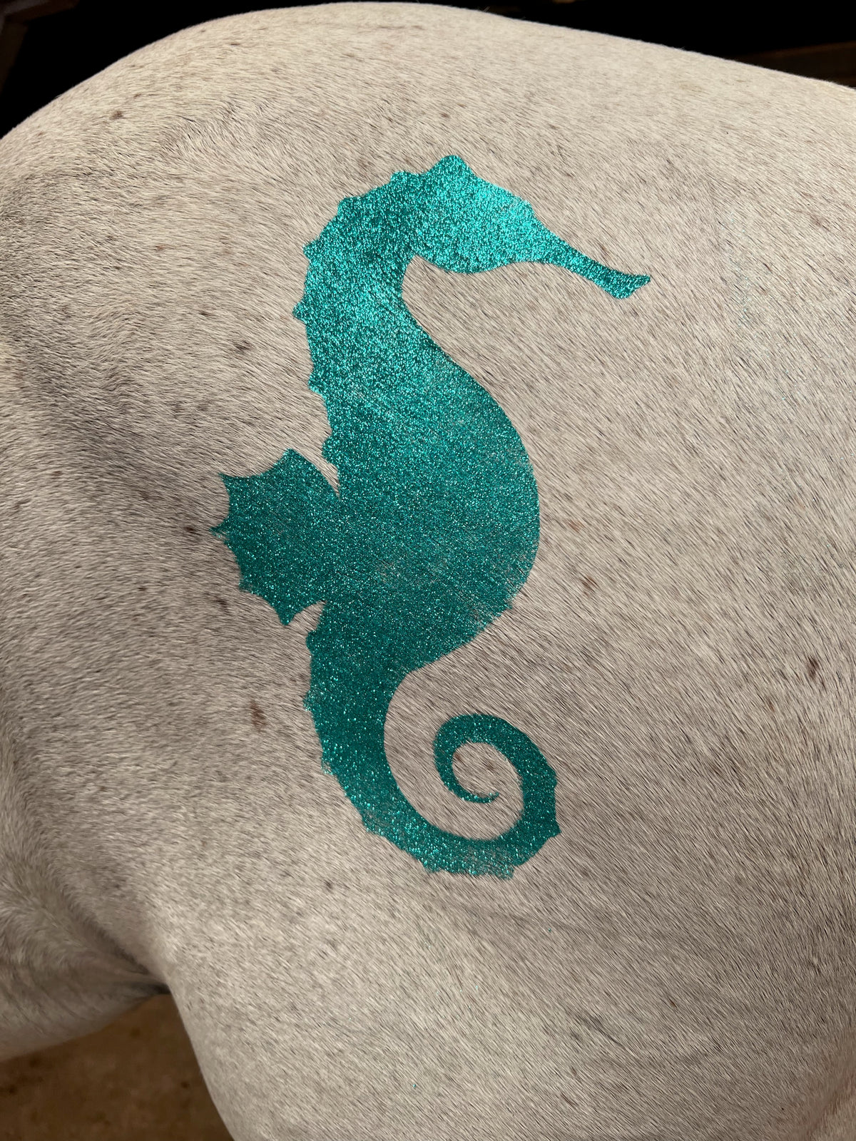 Seahorse