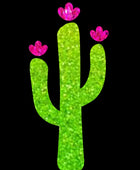 Cactus Flower Minimarx