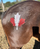 Maple Leaf