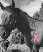 Survivor Ribbon Minimarx