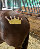 Royal Crown Minimarx