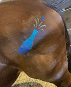 Drinks - Champagne Bottle