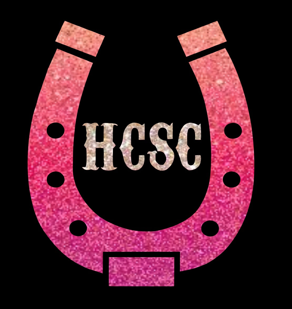 HCSC Custom Logo