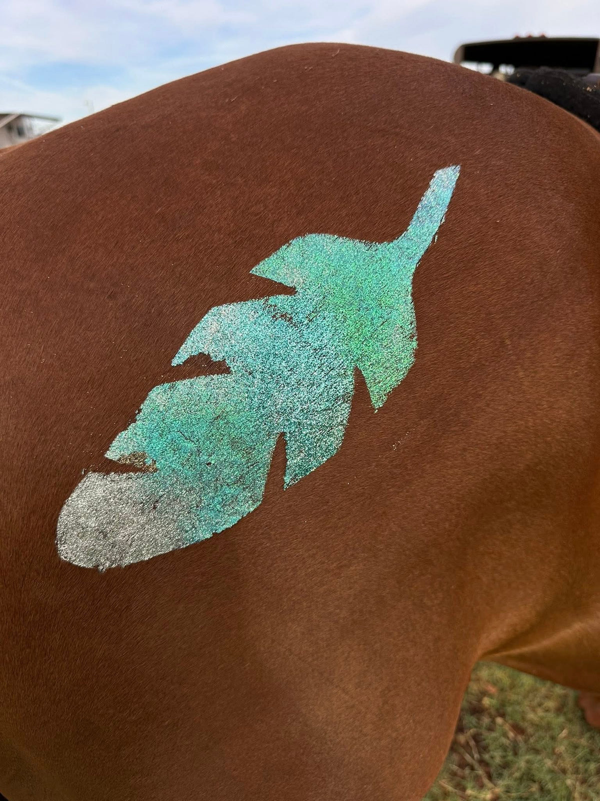 Feather Minimarx