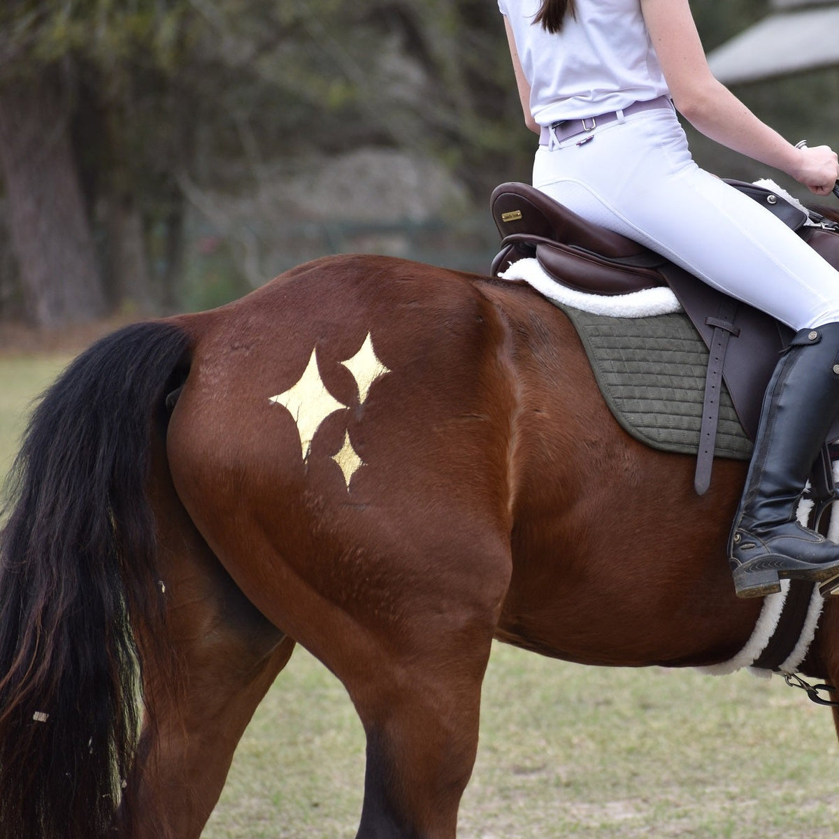 A gold glitter design applied to a bay horse's hip